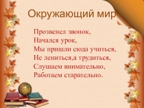 Презентация к уроку по теме Что растёт у школы?
