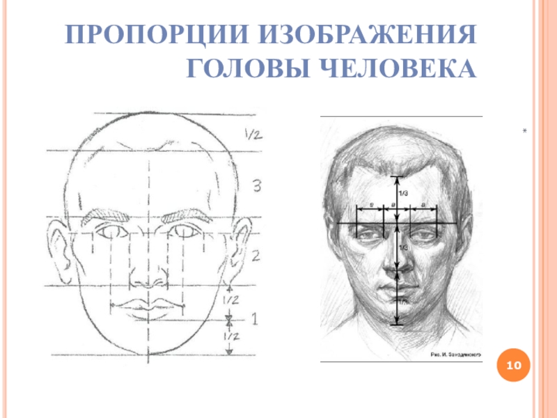 Какой человек голова. Пропорции головы человека. Пропорции головы человека рисунок. Построение лица человека пропорции схема. Человек соотношение головы рисунок.