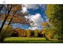 Презентация по ознакомлению с окружающим миром на тему  Осень в старшей группе