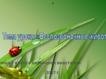 Презентация по биологии на тему беспозвоночные