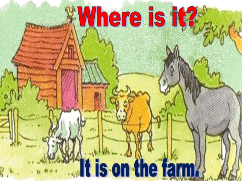 Where is it? It is on the farm.