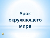 Урок окружающего мира Великая Отечественная война