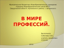 Презентация классного часа В мире профессий