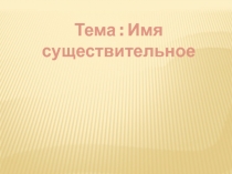 Презентация по русскому языку на тему  Имя существительное