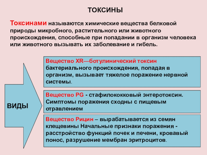 Токсины животного происхождения. Виды токсинов. Виды токсинов в организме. Виды токсинов людей. Токсины это БЖД.