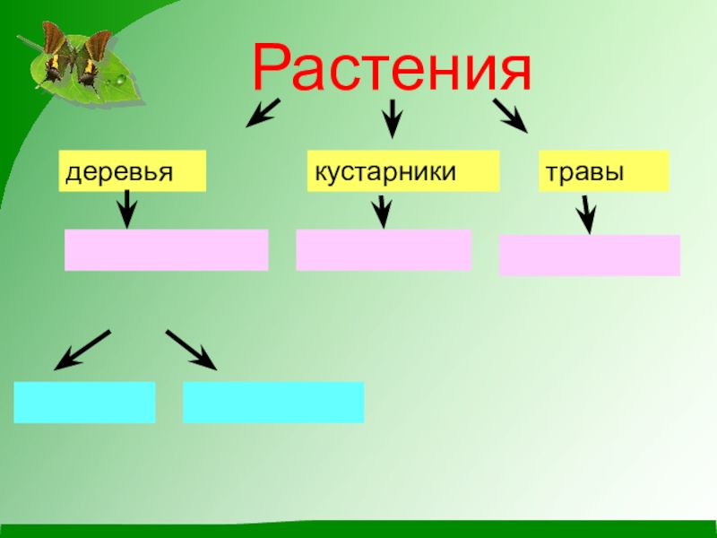 Урок разнообразие растений 3 класс. Разнообразие растений 3 класс окружающий. Состав растения 3 класс. Состав растений 3 класс окружающий. Разность растений 3 класс.