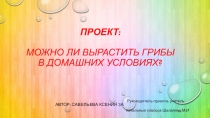 Проект Можно ли вырастить грибы в домашних условиях