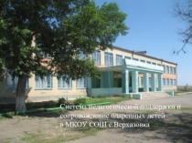 Система педагогической поддержки и сопровождения одаренных детей в МКОУ СОШ с.Верхазовка