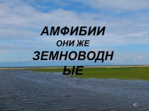 Презентация по биологии на тему Амфибии, они же земноводные