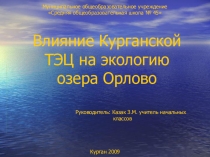 Презентация Влияние Курганской ТЭЦ на экологию озера Орлово