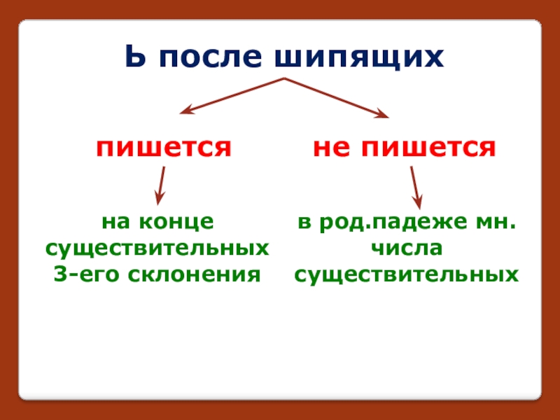 Вставить где необходимо ь на конце существительных мышь рубеж чертеж