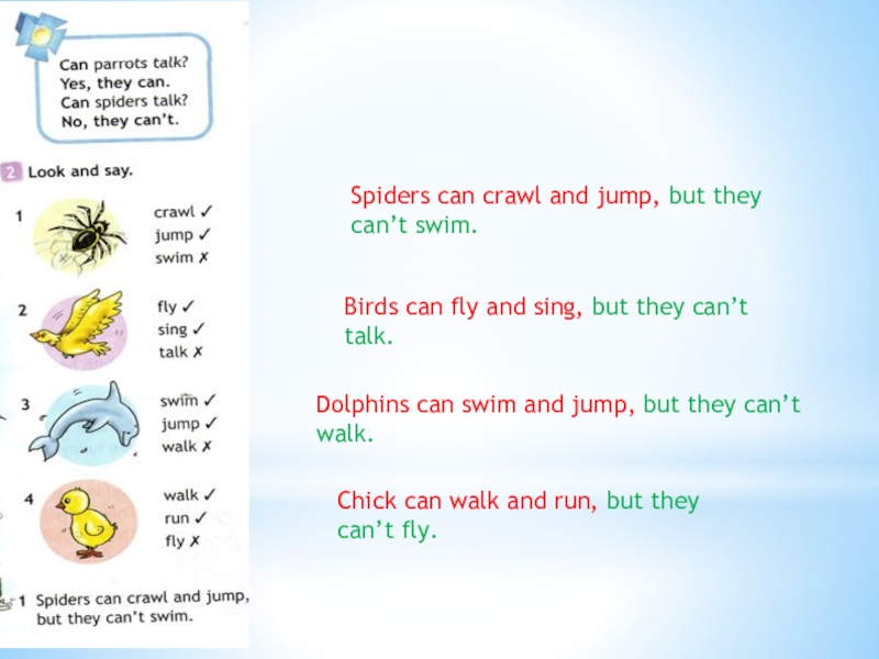 Составь предложения Jump, Crawl, and, can, Spiders. Crawl перевод. Can Parrots talk ответ на вопрос. Can Jump.