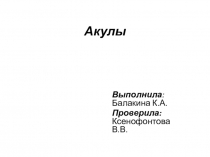 Проект по теме Виды акул. Презентация.