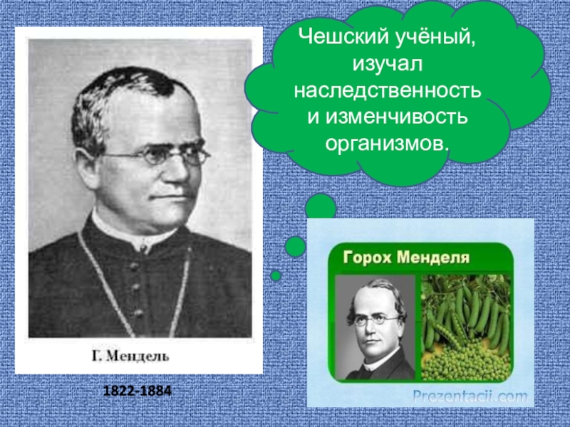 Рассмотрите явление изображенное на рисунке как ученые биологи называют это