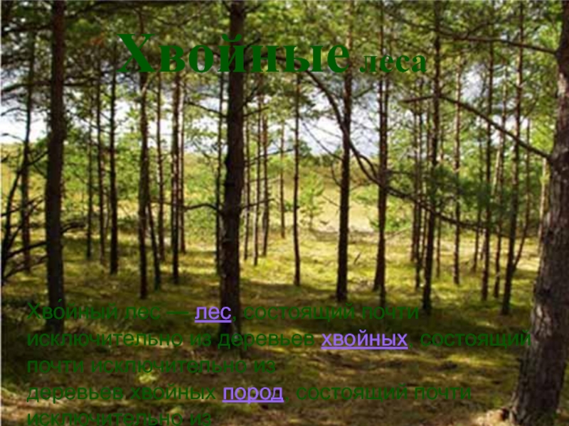 Хвойные лесаХво́йный лес — лес, состоящий почти исключительно из деревьев хвойных, состоящий почти исключительно из деревьев хвойных пород, состоящий почти исключительно из