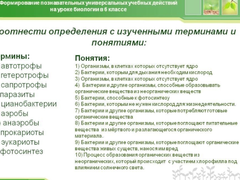 Темы проектов по биологии 5 класс список