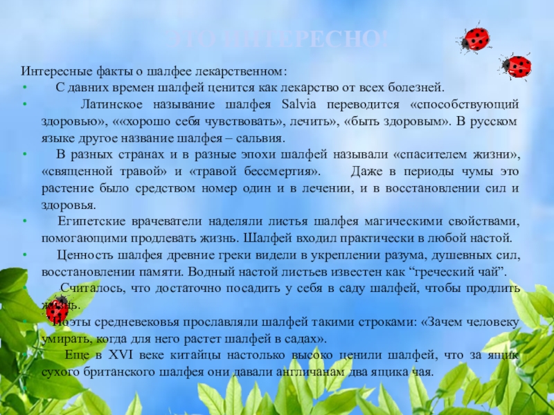 Тема рядом. Проекты по улучшению экологии. Цель проекта огород на окне. Проект по улучшению окружающей среды. Улучшение экологической ситуации.