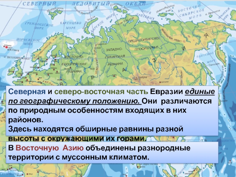 Северная и северо-восточная часть Евразии единые по географическому положению. Они  различаются по природным особенностям входящих в них