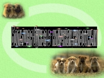 Презентация к уроку русского языка