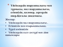 Үйсіндердің тарихы мен шаруашылығы