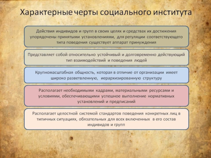 Характеристика и отличительные черты социальных проектов