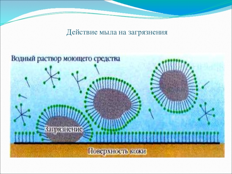 Очищающее действие. Мицелла мыла. Схема действия мыла. Как работает мыло. Очищающее свойство мыла.