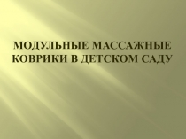 Презентация по дошкольному воспитанию Модульные массажные коврики в детском саду
