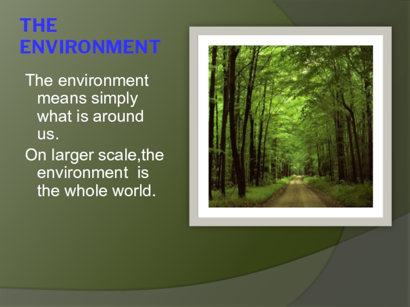 The word environment means. The word environment means. Environment тема по английскому. Environment words. перевод текста environmental pollution is a term that.