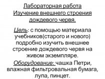 Презентация к уроку. Лабораторная работа  Изучение внешнего строения дождевого червя.
