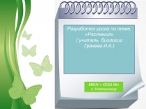 Презентация к уроку по теме Растения