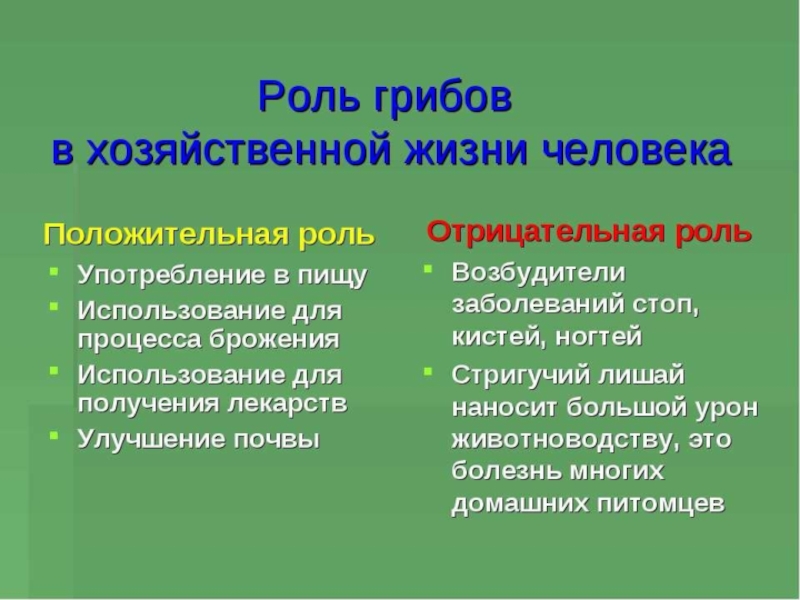 Схема роль грибов в природе и жизни человека