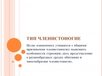 Презентация по биологии  Многообразие животных