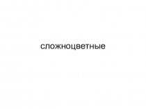 Презентация по теме Семейство сложноцветные