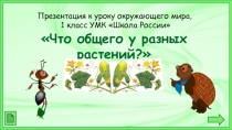 Презентация по окружающему миру на тему :Что общего у разных растений.