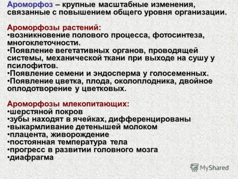 Ароморфоз. Ароморфозы растений. Примеры ароморфоза у растений. Появление ароморфозов у растений. Крупные ароморфозы растений.