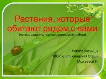 Презентация Растения, которые растут рядом с нами