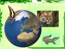 Презентация -игра про животных