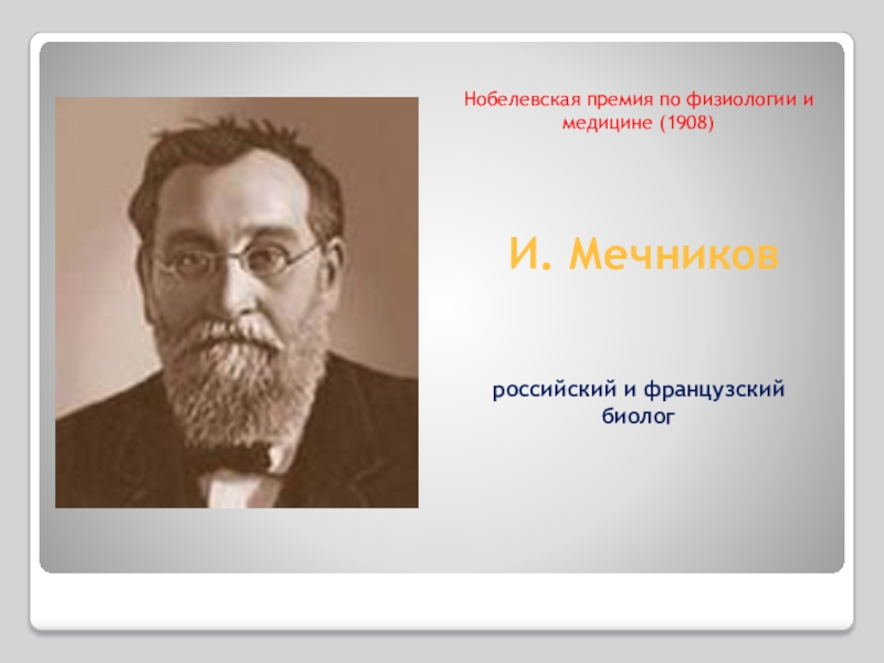 Мечников нобелевская премия. Илья Мечников Нобелевская премия. Мечников Нобелевская премия 1908. Евграф Ильич Мечников.