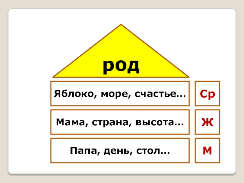 Роды м ж ср. Счастье ж род. Папа это существительное.