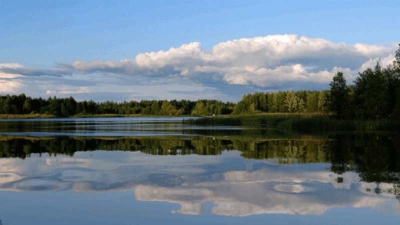 Презентация на воде и в лесу