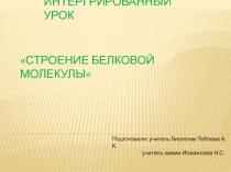 Презентация по химии  Белки