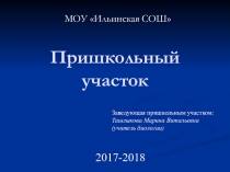Пришкольный участок Ильинской школы
