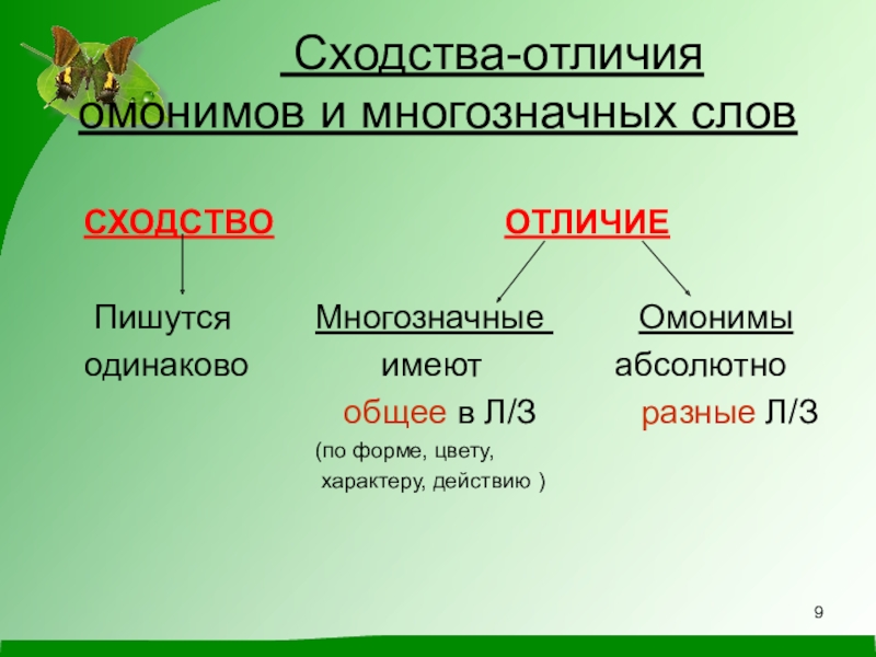 Омонимы в русском языке проект 5 класс