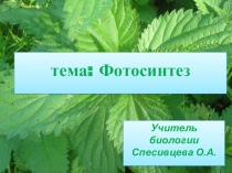 Презентация по биологии на тему Фотосинтез