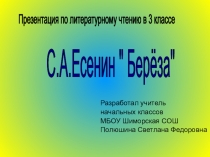 Презентация к уроку литературного чтения в 3 классе С.Есенин Береза