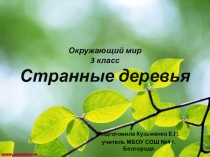Презентация по окружающему миру на тему Странные деревья (3 класс)
