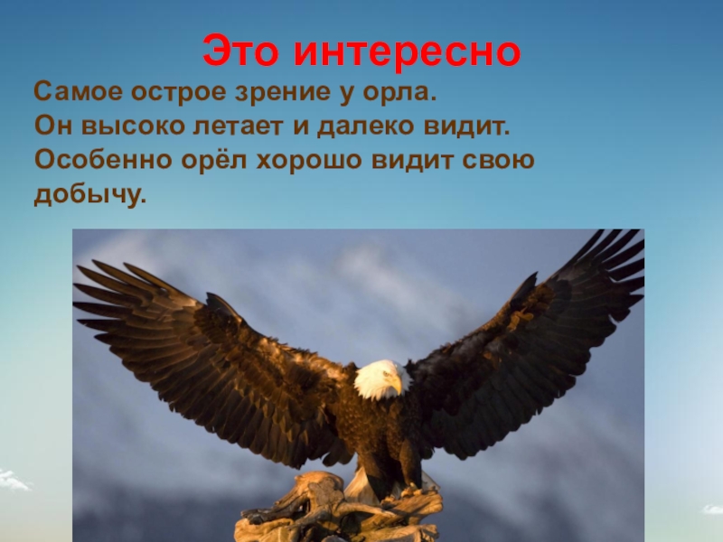 В орлов большие уши 1 класс презентация школа 21 века