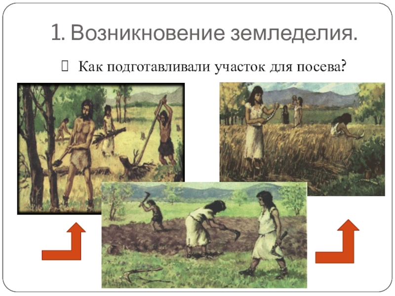 История земледелия. Древнейшие цивилизации первые земледельцы и скотоводы. Как произошло возникновение земледелия. Возникновение земледелия в древнем мире. История древнего мира земледельцы.