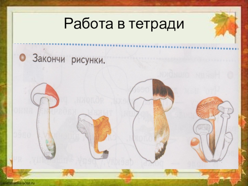 Рисунок не закончен. Презентация в 1 классе по окружающему миру грибная пора.. Завершить рисунок. Задание грибная пора. Грибная пора рассказ.