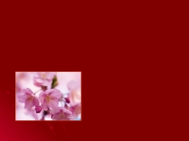 Презентация по цветоводству и декоративному садоводству по теме: Цветковые растения ,мир цветов, виды цветковых растений